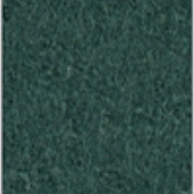 Focus_col_68049.jpg